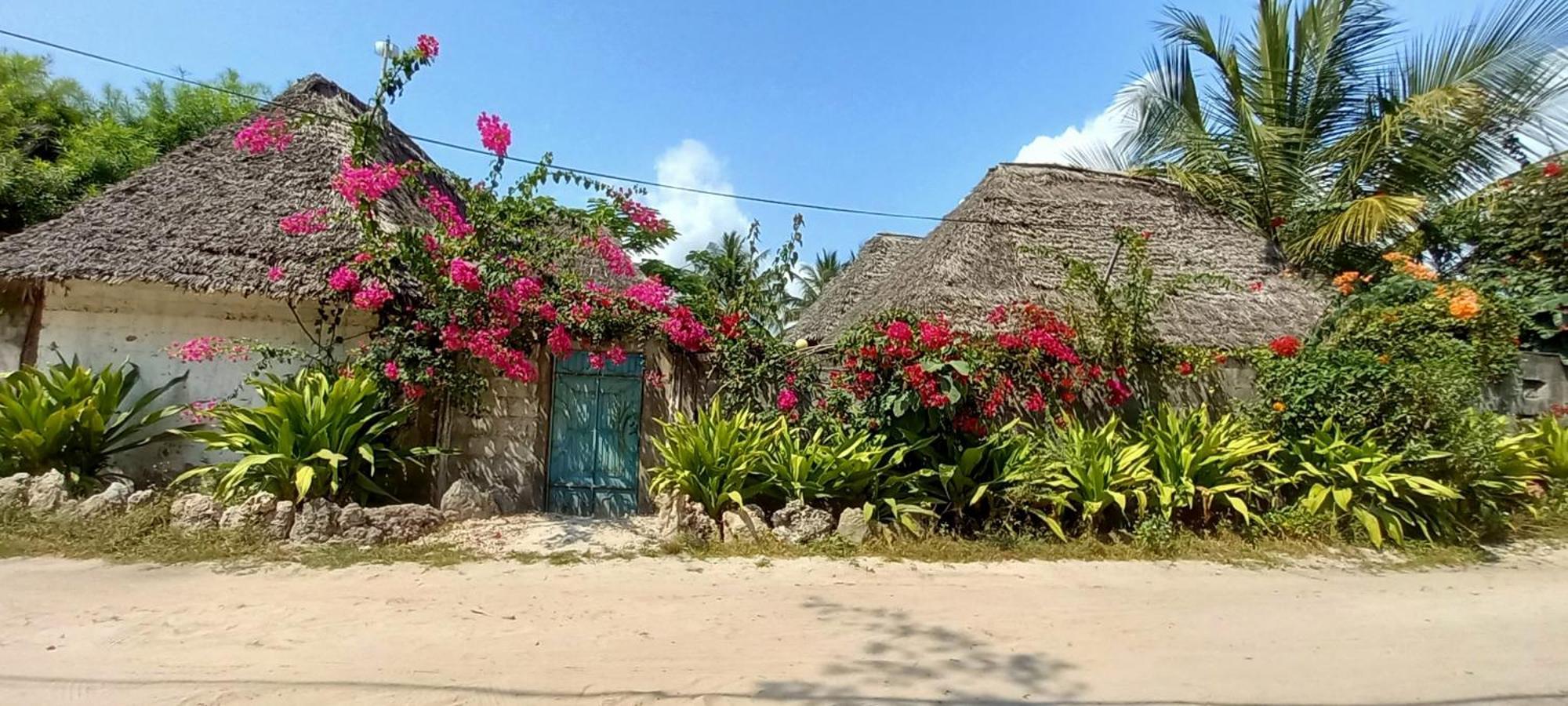 Гостевой дом Morningstar Zanzibar