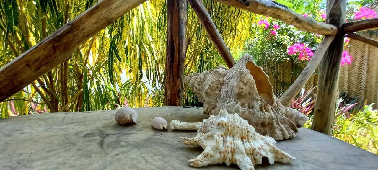 Morningstar Zanzibar Matemwe